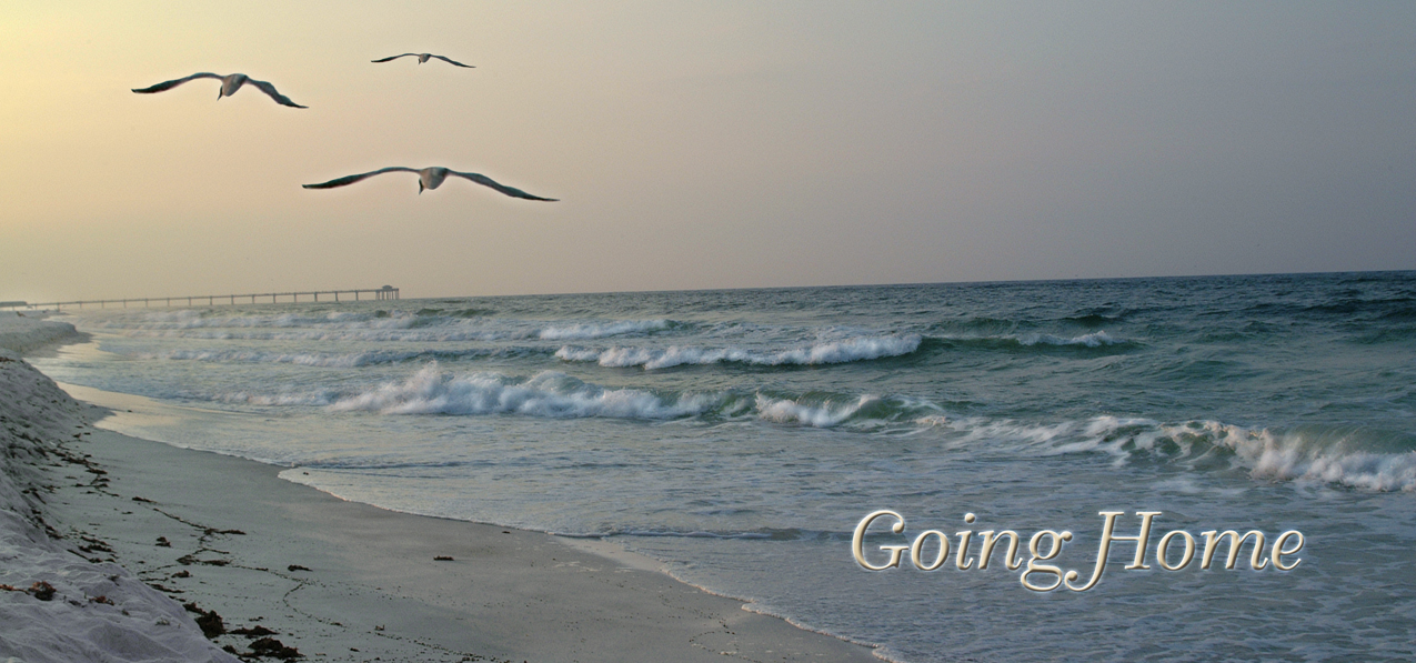 Going Home (Seascape)